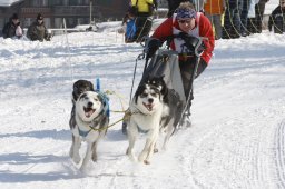 Lenk 2012 SM
